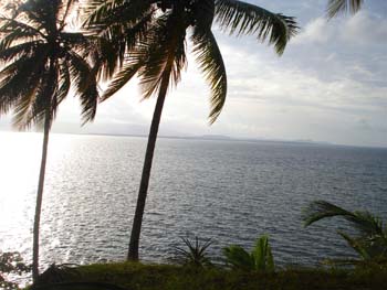 Vue du terrain de 2.5 has de Bocas del Toro, Panama